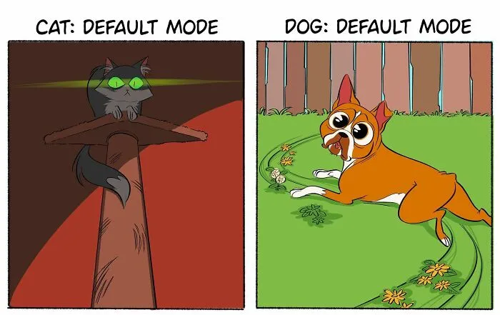 This Artist Has A Dog And Cat, And She Portrays Their Adventures In Her Comics (35 Pics)