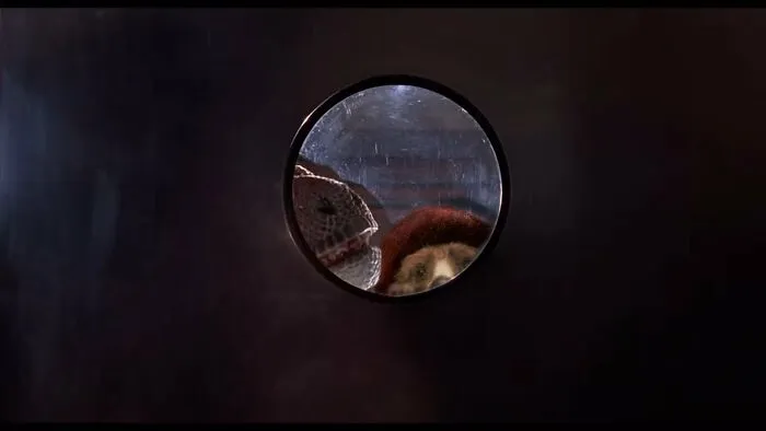80 Times This Guy Photoshopped Paddington Bear Into Iconic Movie Scenes And Pop Culture Moments