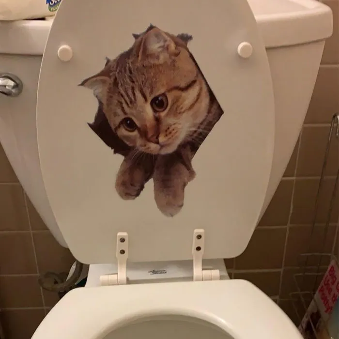  <a Style="Display:inline;" Href="Https://Www.amazon.com/Removable-Cartoon-Stickers-Painted-Posters/Dp/B07l6fdd82?ie=utf8&linkcode=ll1&tag=bplion-20&linkid=12903d55fb80aba91e3cd1dfe1d0471b&language=en_us&ref_=as_li_ss_tl" Target="_blank"><span Style="Font: Inherit; Color: #d74b1f;"> 3D Cat Stickers</Span> Are The Unexpected Addition To Your Home That Will Make You Lol