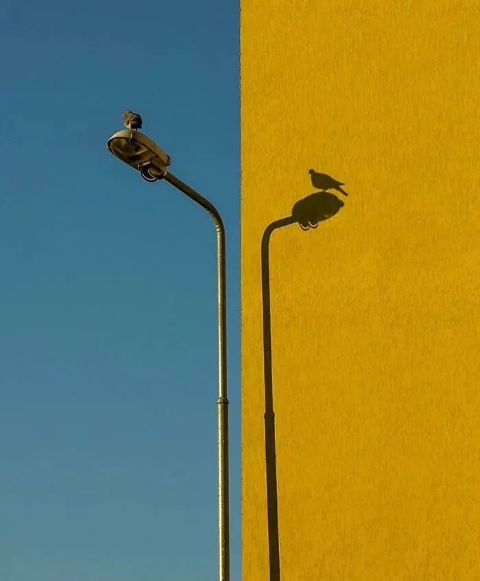 This Instagram Account Shares Highly Amusing Street Photos; Here Are Their 50 Newest Ones