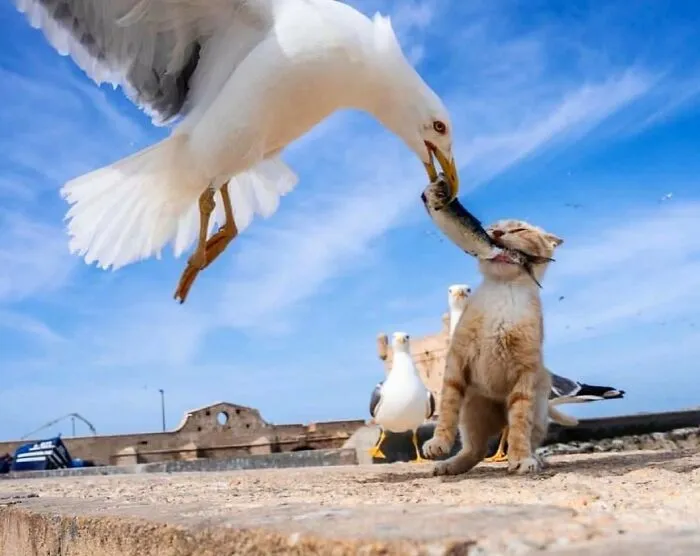 Esta cuenta de Instagram presenta divertidas fotografías urbanas, aquí tienes 50 de las más nuevas