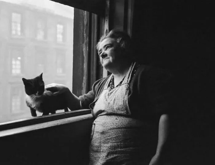 Esta cuenta de Instagram presenta divertidas fotografías urbanas, aquí tienes 50 de las más nuevas