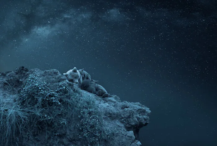 “Dreaming Above The Universe ” By Lurdes Santander