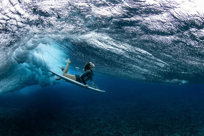 Overall Bronze Winner And Gold In Aquatic: "Duck Dive" By Ryan Pierse