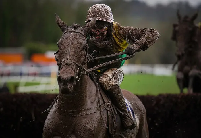 Gold In Equestrian: "Glorious Mud" By David Davies