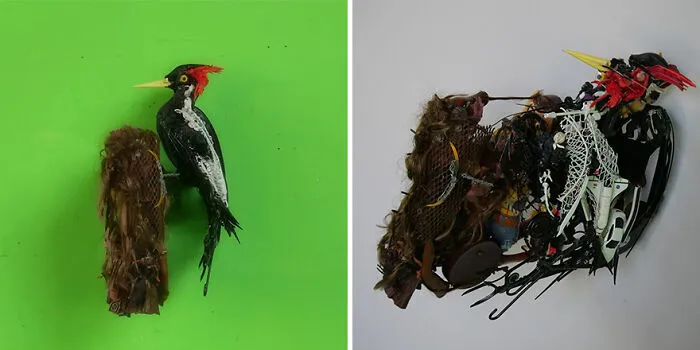15 Mind-Bending Sculptures That Look Different From Different Angles, By Thomas Deininger