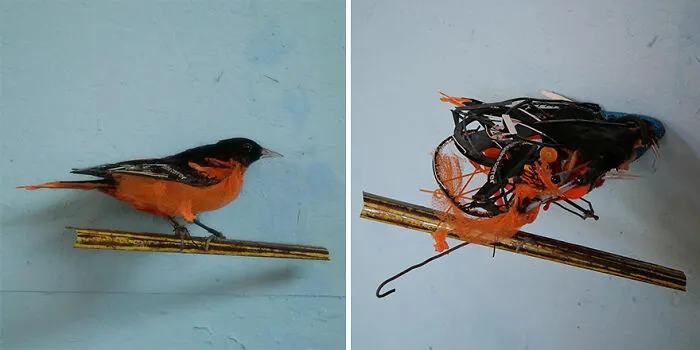 15 Mind-Bending Sculptures That Look Different From Different Angles, By Thomas Deininger