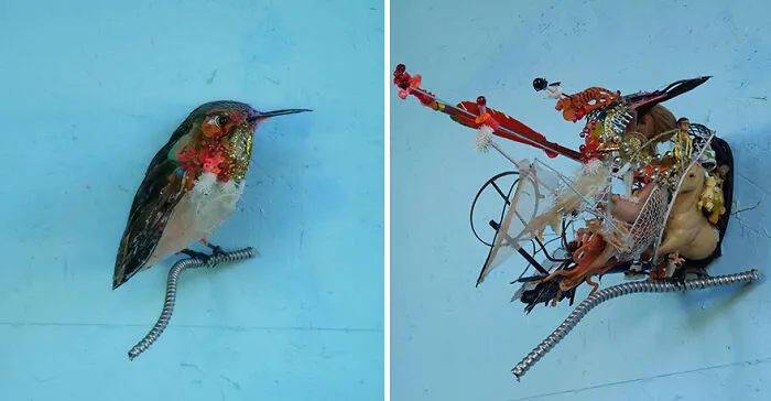 15 Mind-Bending Sculptures That Look Different From Different Angles, By Thomas Deininger