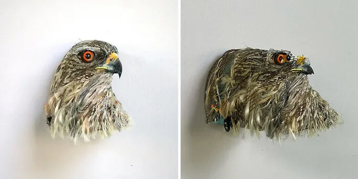 15 Mind-Bending Sculptures That Look Different From Different Angles, By Thomas Deininger
