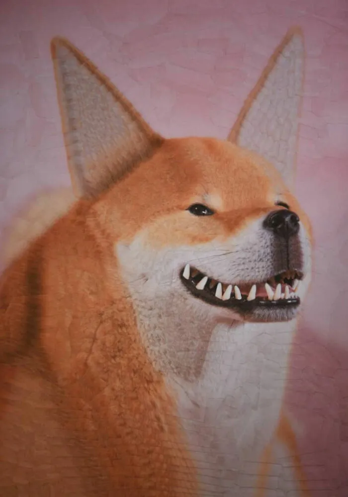 Artist Creates Unusual Pet Portraits Through Distortion, And Here Are Her 80 Best Works