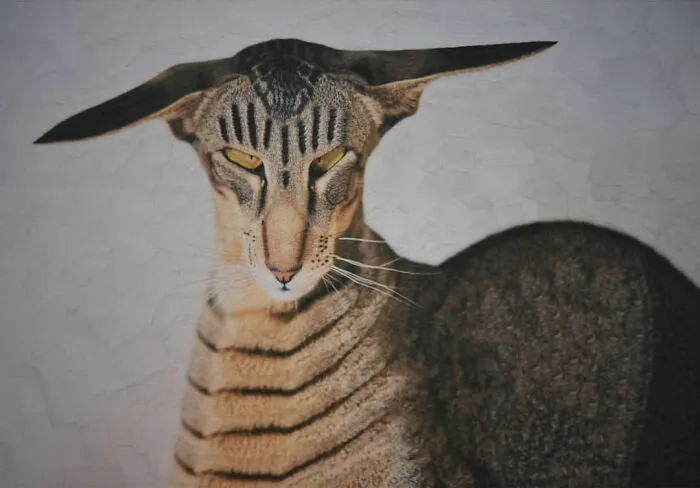 Artist Creates Unusual Pet Portraits Through Distortion, And Here Are Her 80 Best Works