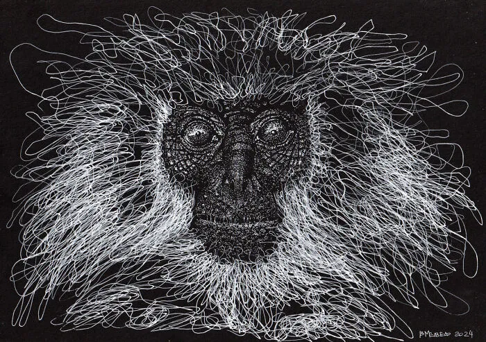 Years Ago, My Daughter Got Me A Sketchbook And I’ve Been Drawing White On Black Ever Since (23 New Pics)