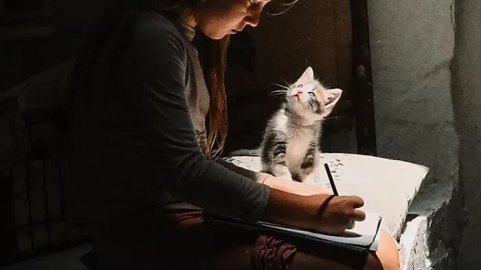 30 Times People Caught “Accidental Renaissance Cats” And Just Had To Share The Pics