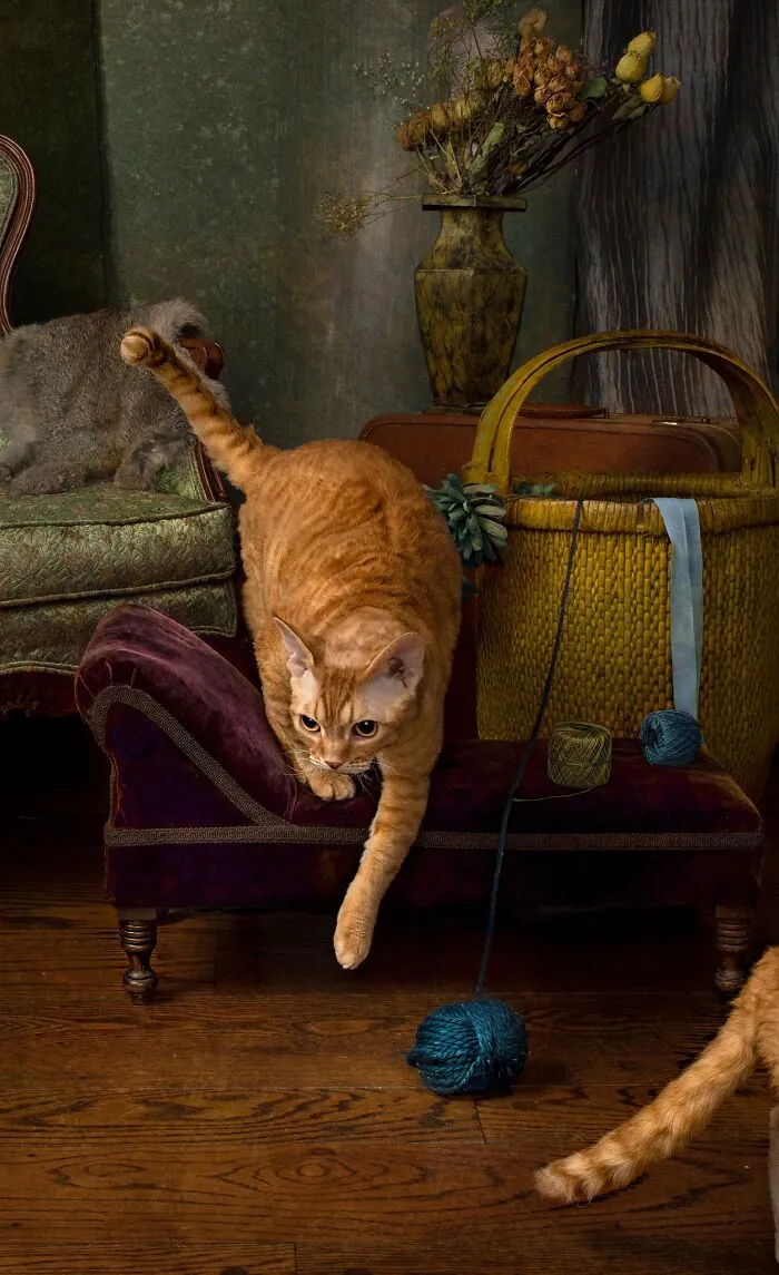 30 Times People Caught “Accidental Renaissance Cats” And Just Had To Share The Pics