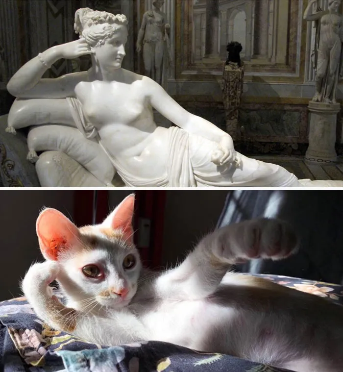 30 Times People Caught “Accidental Renaissance Cats” And Just Had To Share The Pics