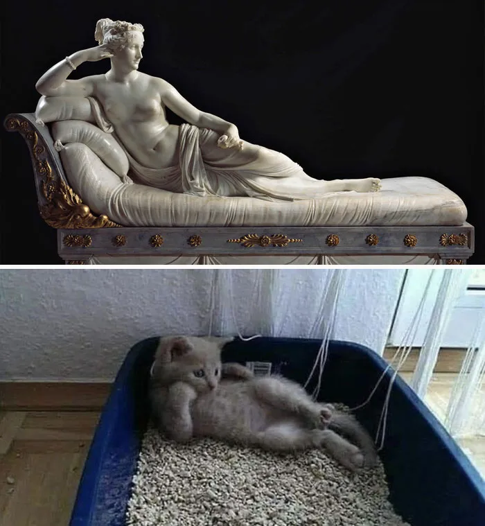 30 Times People Caught “Accidental Renaissance Cats” And Just Had To Share The Pics