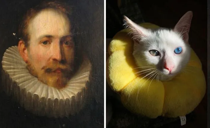 30 Times People Caught “Accidental Renaissance Cats” And Just Had To Share The Pics