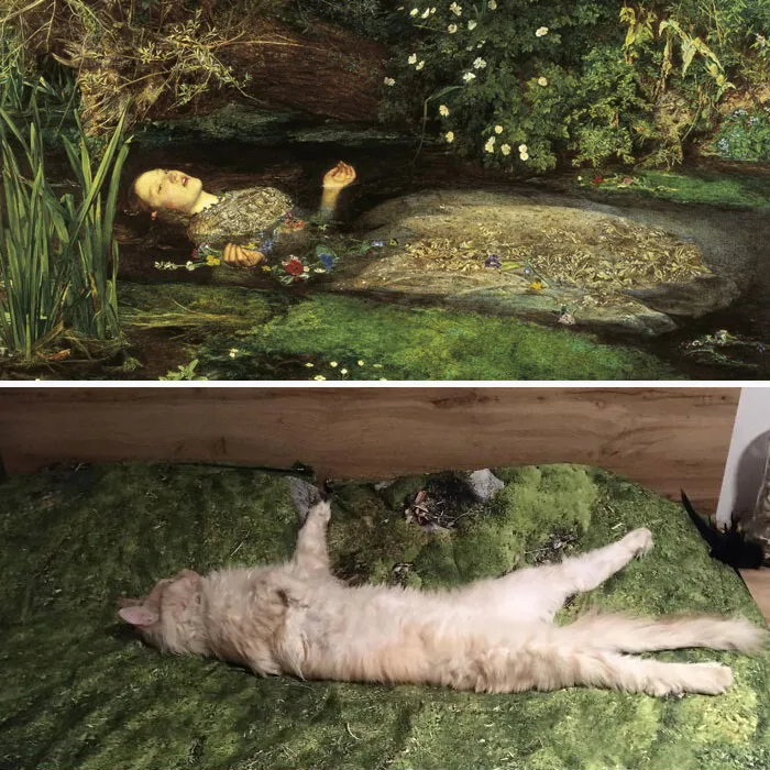 30 Times People Caught “Accidental Renaissance Cats” And Just Had To Share The Pics