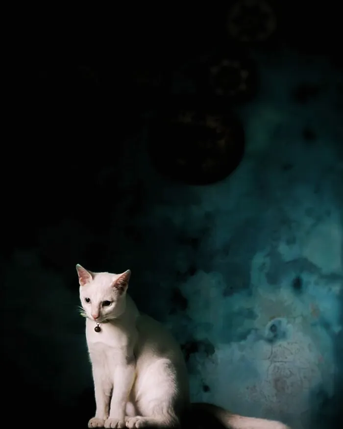30 Times People Caught “Accidental Renaissance Cats” And Just Had To Share The Pics