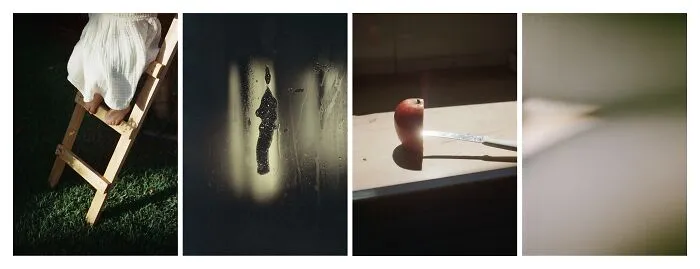 Analog/Film Photographer Of The Year: "Where Does The Tree End And The Rest Of The World Begin?" By Daniela Balestrin