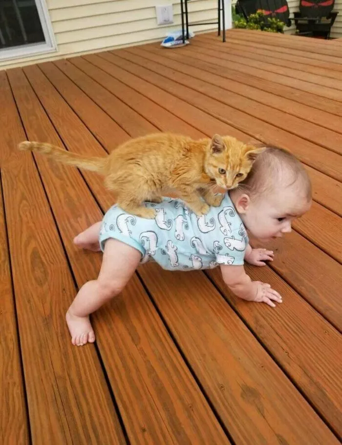 Onwards, My Noble Steed!