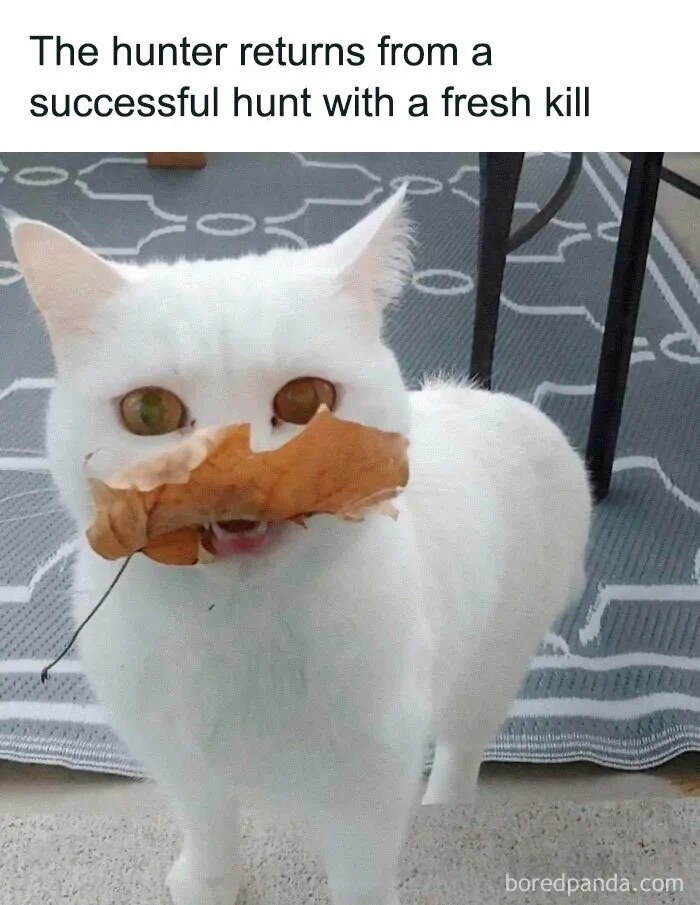 Apex Predator