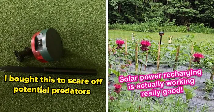 Bask In The Brilliance Of These 19 Best-Selling Solar Products