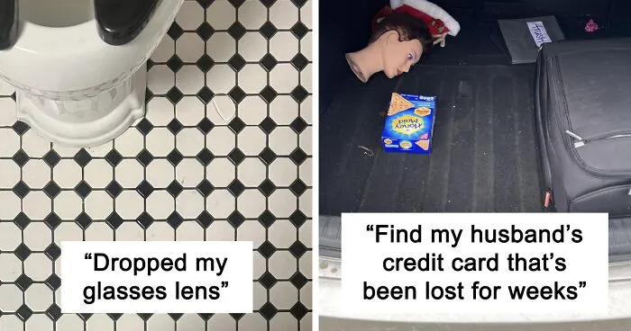 ‘When You See It’: 30 Perfectly Camouflaged Things That Take Ages To Find (New Pics)