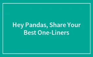 Hey Pandas, Share Your Best One-Liners (Closed)