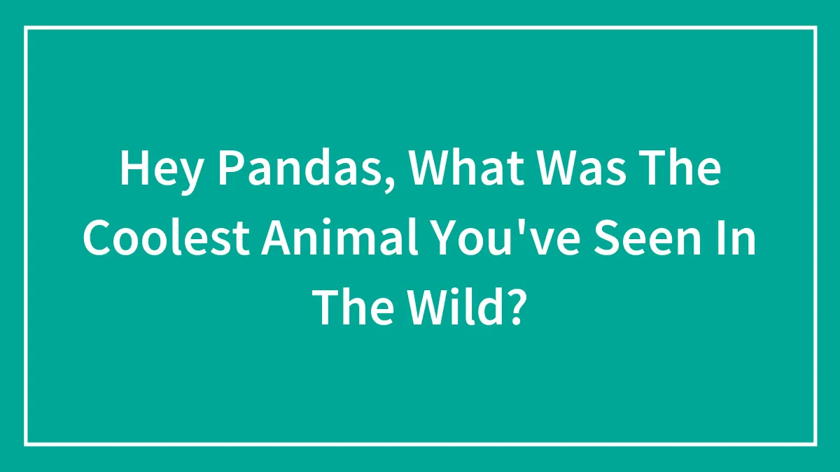 Hey Pandas, What Was The Coolest Animal You've Seen In The Wild?