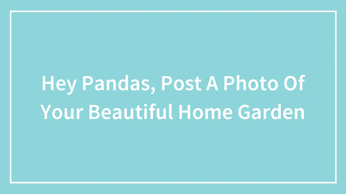 Hey Pandas, Post A Photo Of Your Beautiful Home Garden (Closed)