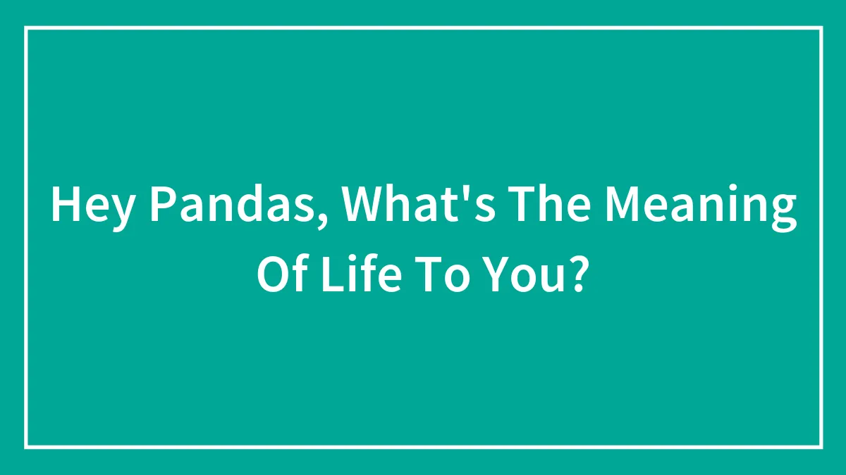 Hey Pandas, What's The Meaning Of Life To You? (Closed)