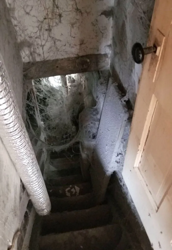 The Basement Of A House I Visited Today