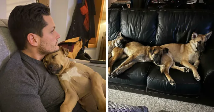 50 Adorable Photos Of People Showing The Pets They’ve Adopted (July Edition)