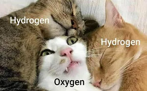 These 50 Posts Show How Humor And Science Go Together (New Pics)