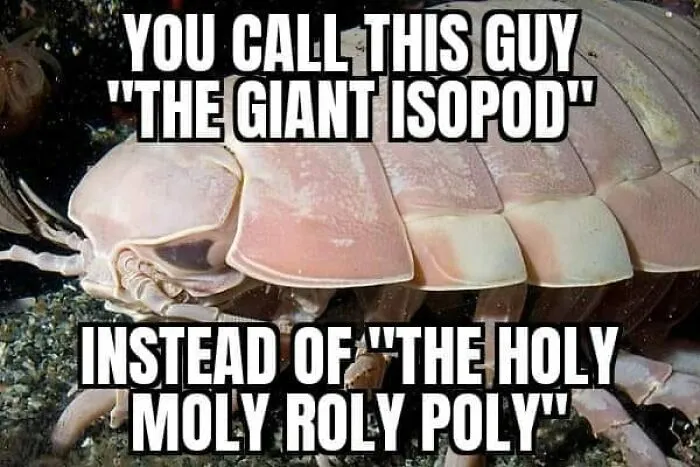 These 50 Posts Show How Humor And Science Go Together (New Pics)