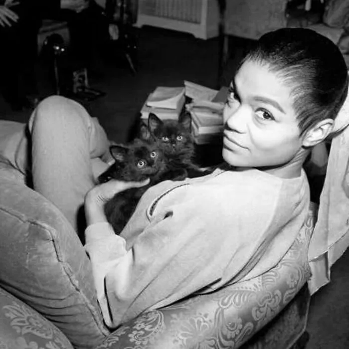 73 Vintage Photos Of Cats That Show Nothing Has Changed In Decades, Collected By This Journalist (New Pics)
