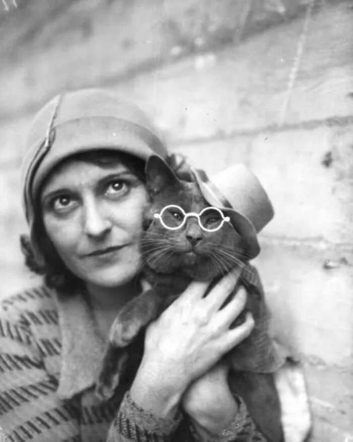 73 Vintage Photos Of Cats That Show Nothing Has Changed In Decades, Collected By This Journalist (New Pics)