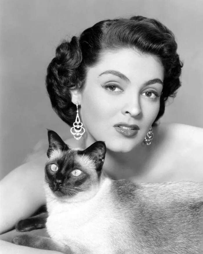 73 Vintage Photos Of Cats That Show Nothing Has Changed In Decades, Collected By This Journalist (New Pics)