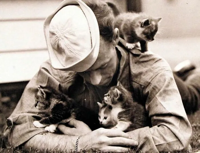 73 Vintage Photos Of Cats That Show Nothing Has Changed In Decades, Collected By This Journalist (New Pics)