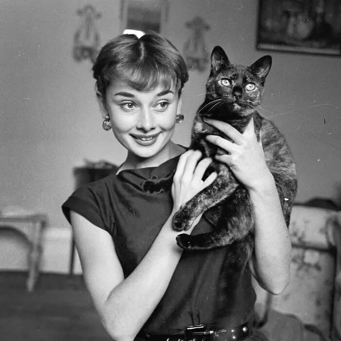 73 Vintage Photos Of Cats That Show Nothing Has Changed In Decades, Collected By This Journalist (New Pics)