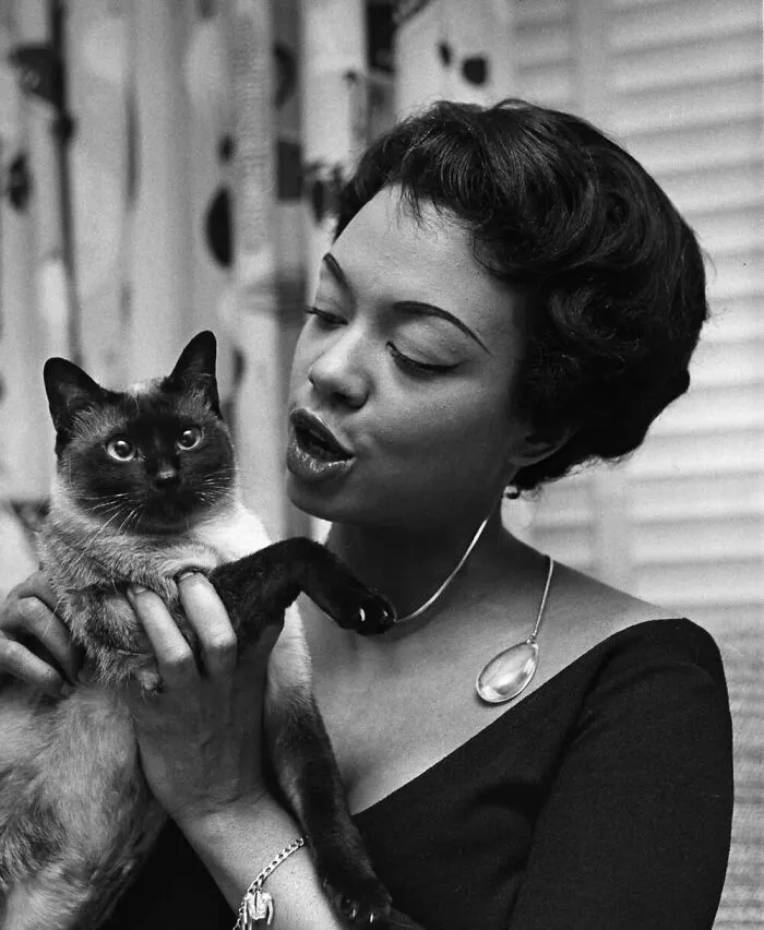 73 Vintage Photos Of Cats That Show Nothing Has Changed In Decades, Collected By This Journalist (New Pics)