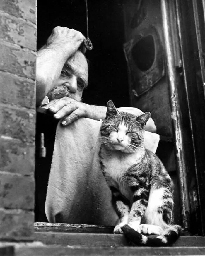 73 Vintage Photos Of Cats That Show Nothing Has Changed In Decades, Collected By This Journalist (New Pics)