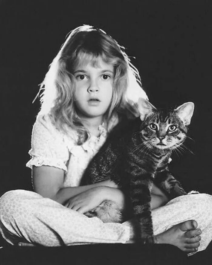 73 Vintage Photos Of Cats That Show Nothing Has Changed In Decades, Collected By This Journalist (New Pics)