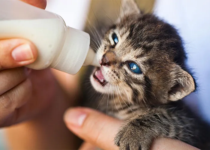 30 Things People Spent Money On Only To Realize Later How Stupid It Was