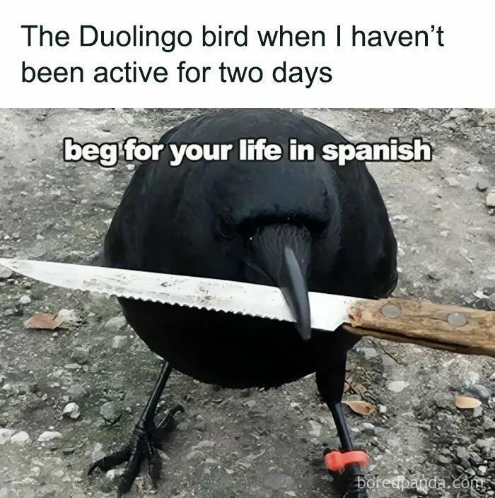 Found On Ig. Duo Built A Notorious Reputation Outside Of The Community
