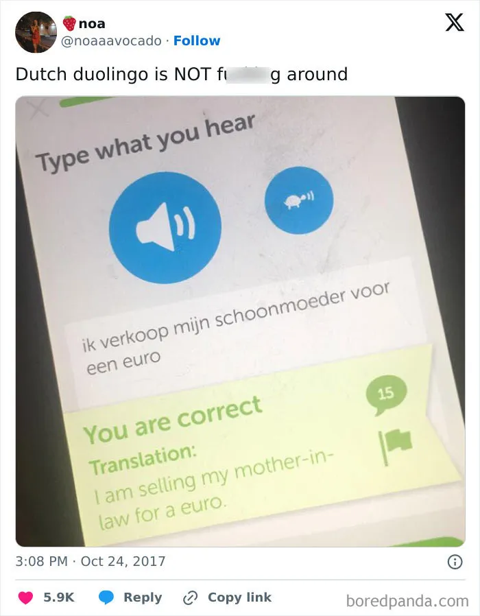 Dutch Duolingo