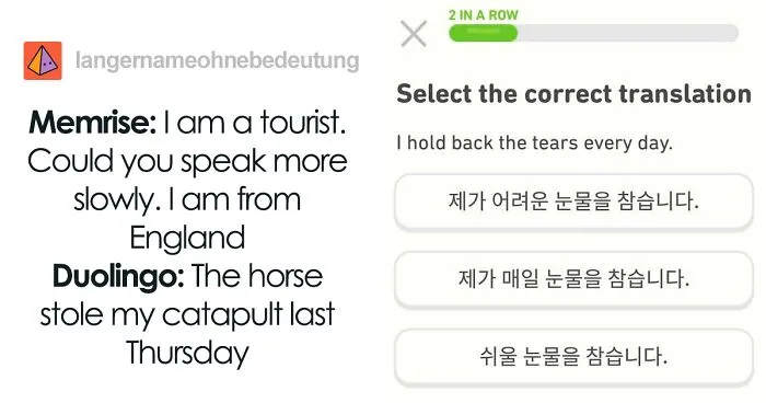 30 Hilariously Threatening Duolingo Memes