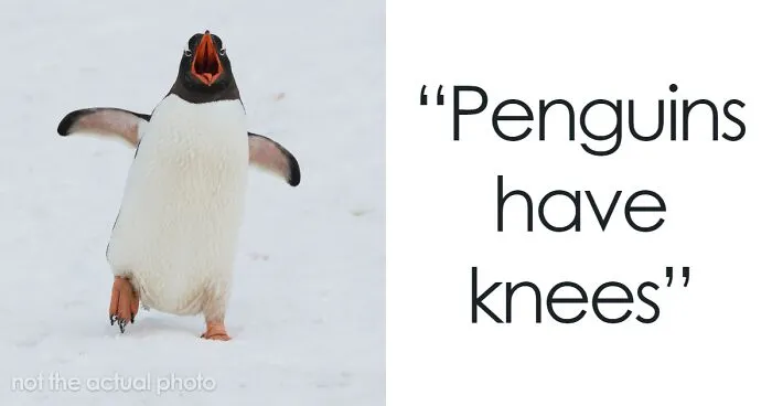 People Share Interesting Wildlife Facts That Not A Lot Of People Know, Here Are The 40 Best Ones