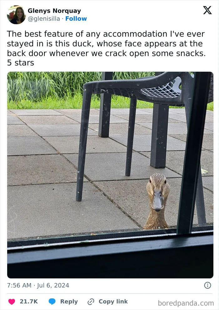 30 Of The Funniest Posts That Went Viral On X In July